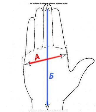 размеры перчаток